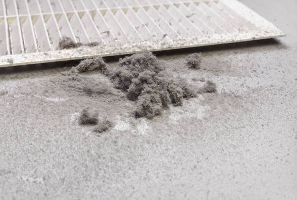 Best Commercial Air Duct Cleaning  in Riverside, IA