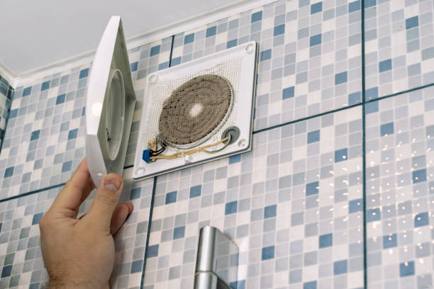 Best Air Vent Cleaning Services  in Riverside, IA