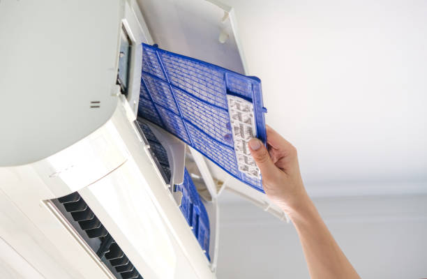 Best Home Air Vent Cleaning  in Riverside, IA